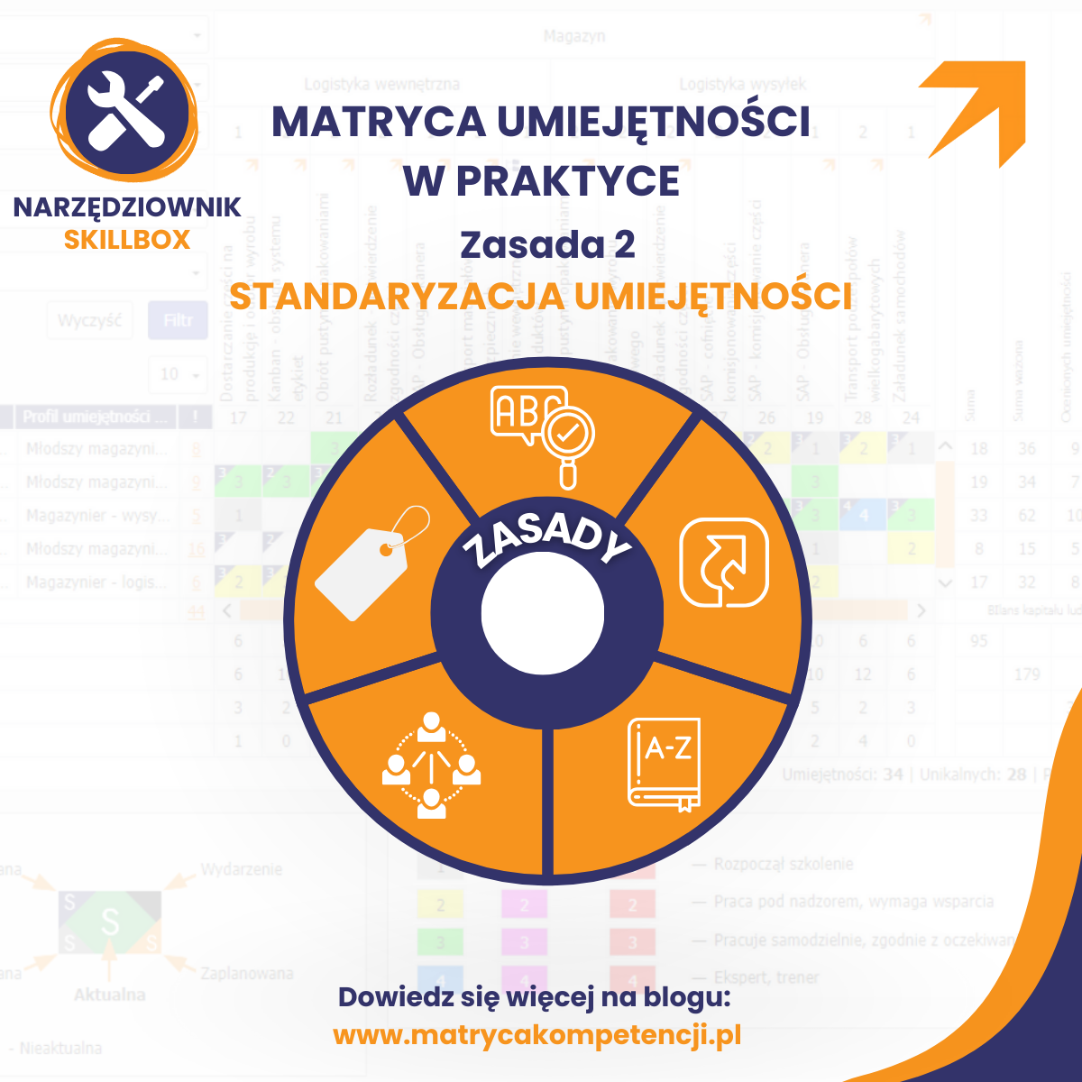 infografika standardu umiejętności